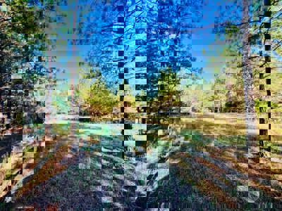 Perry County, TN Hunting & Recreation Land For Sale - image 30