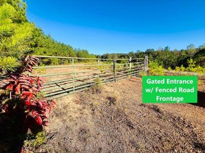 Perry County, TN Hunting & Recreation Land For Sale - image 5