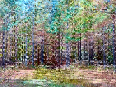 Perry County, TN Hunting & Recreation Land For Sale - image 23