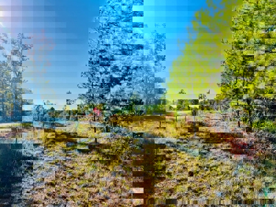 Perry County, TN Hunting & Recreation Land For Sale - image 17