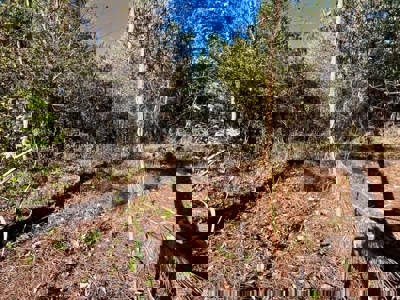 Perry County, TN Hunting & Recreation Land For Sale - image 14