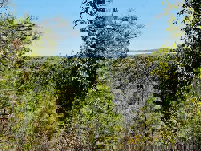 Perry County, TN Hunting & Recreation Land For Sale - image 29