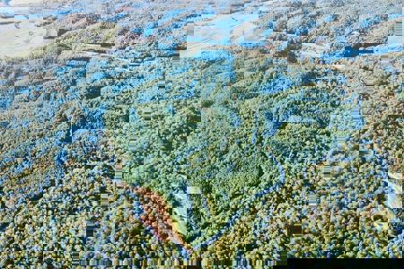 Perry County, TN Hunting & Recreation Land For Sale - image 16