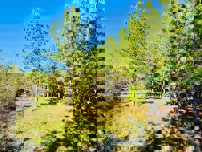 Perry County, TN Hunting & Recreation Land For Sale - image 34