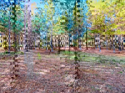 Perry County, TN Hunting & Recreation Land For Sale - image 15