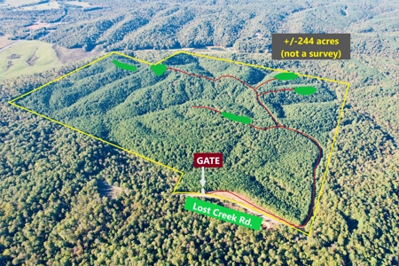Perry County, TN Hunting & Recreation Land For Sale - image 7