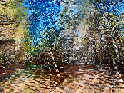 Perry County, TN Hunting & Recreation Land For Sale - image 20