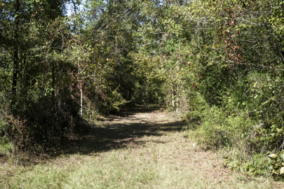 Listing 193
