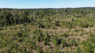 Listing 193