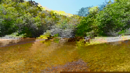 Riverfront Beauty at North Fork of White River, Twin Bridges - image 1