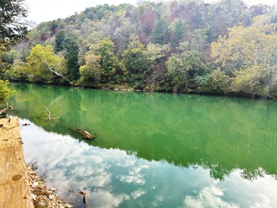 River Front Lot On Spring River Hardy, AR - image 6