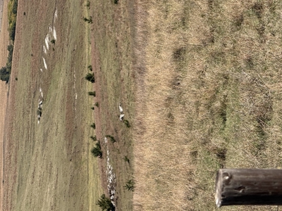Land For Sale in Phillips County Kansas - image 14