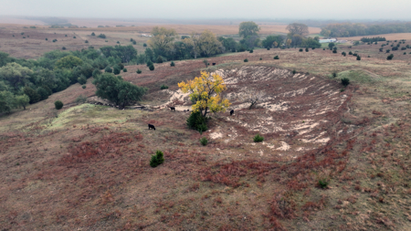 Land For Sale in Phillips County Kansas - image 31