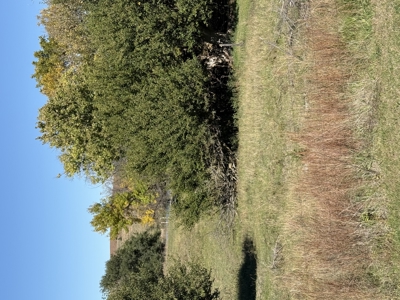 Land For Sale in Phillips County Kansas - image 23