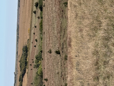 Land For Sale in Phillips County Kansas - image 15