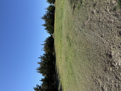 Land For Sale in Phillips County Kansas - image 1