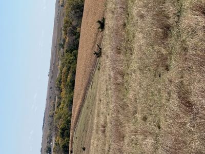 Land For Sale in Phillips County Kansas - image 17