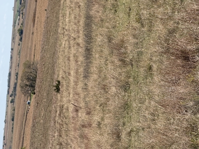 Land For Sale in Phillips County Kansas - image 18