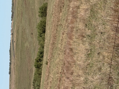 Land For Sale in Phillips County Kansas - image 11