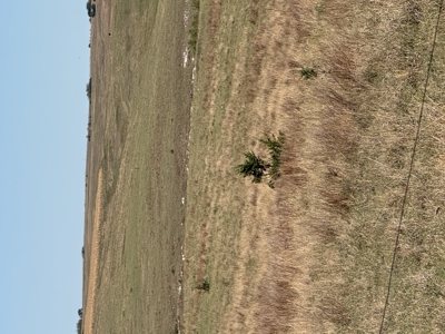 Land For Sale in Phillips County Kansas - image 10