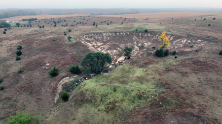 Land For Sale in Phillips County Kansas - image 30