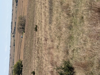 Land For Sale in Phillips County Kansas - image 16