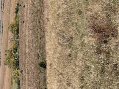 Land For Sale in Phillips County Kansas - image 19
