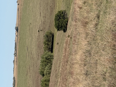 Land For Sale in Phillips County Kansas - image 13