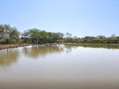 Land For Sale Nocona Texas Montague County Property Ranch - image 2