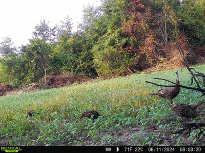 Hunting & Investment Opportunity in Dougherty County, GA - image 9