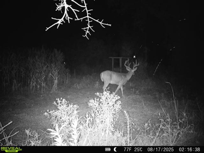 Hunting & Investment Opportunity in Dougherty County, GA - image 1