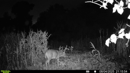 Hunting & Investment Opportunity in Dougherty County, GA - image 10