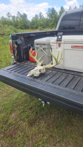 Hunting & Investment Opportunity in Dougherty County, GA - image 8