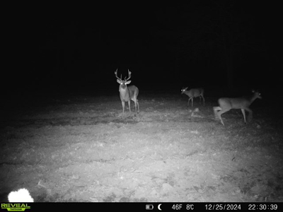 Hunting & Investment Opportunity in Dougherty County, GA - image 6