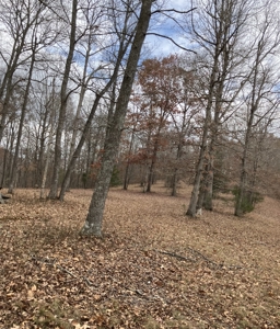 Country Home On 14+/- Acres - Park Like Setting - Liberty, Ky. - image 45