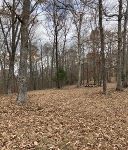 Country Home On 14+/- Acres - Park Like Setting - Liberty, Ky. - image 46