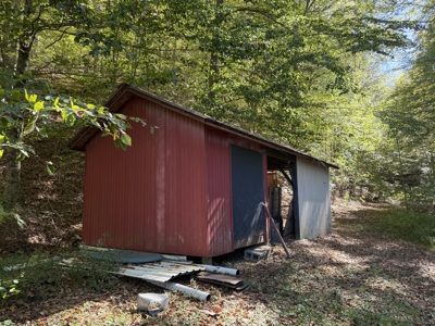 Country Home On 14+/- Acres - Park Like Setting - Liberty, Ky. - image 42