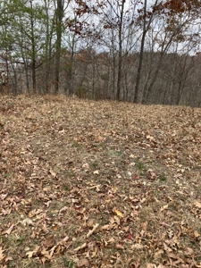 Country Home On 14+/- Acres - Park Like Setting - Liberty, Ky. - image 48