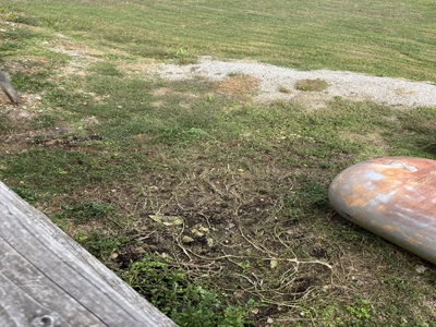 2 Homes Fronting Gov’T Strip On Bull Shoals Lake - image 8