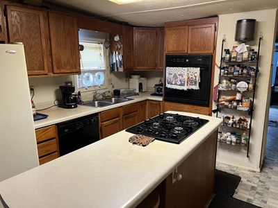 2 Homes Fronting Gov’T Strip On Bull Shoals Lake - image 16