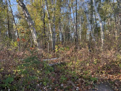 15 Acres of Wooded Mixed Recreational Land For Sale in Kerrick MN - image 4