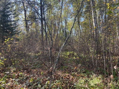 15 Acres of Wooded Mixed Recreational Land For Sale in Kerrick MN - image 3