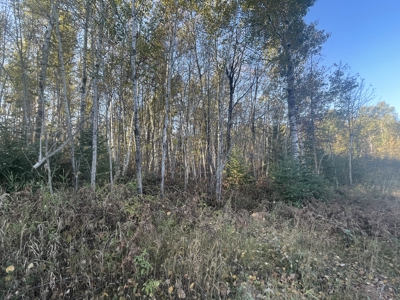 15 Acres of Wooded Mixed Recreational Land For Sale in Kerrick MN - image 6