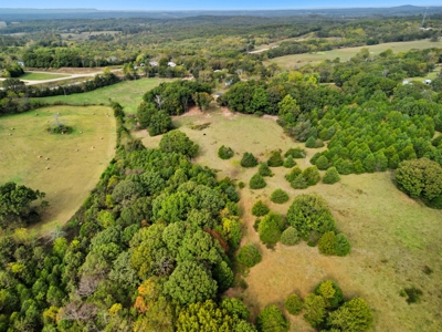 Missouri Ozarks Farm w/ Home & Rental Income 39.5 Acres - image 29