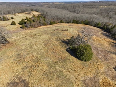 Missouri Ozarks Farm w/ Home & Rental Income 39.5 Acres - image 34