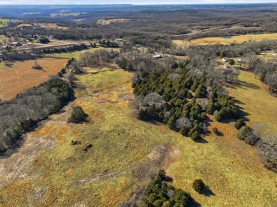 Missouri Ozarks Farm w/ Home & Rental Income 39.5 Acres - image 25