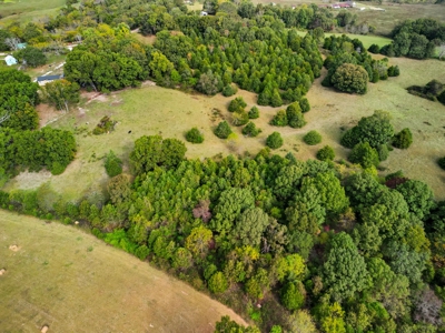 Missouri Ozarks Farm w/ Home & Rental Income 39.5 Acres - image 20