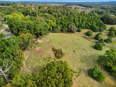 Missouri Ozarks Farm w/ Home & Rental Income 39.5 Acres - image 3