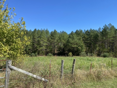 Country Home For Sale In Tn, 2 New Shops & Outbuildings - image 34