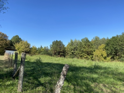 Country Home For Sale In Tn, 2 New Shops & Outbuildings - image 24